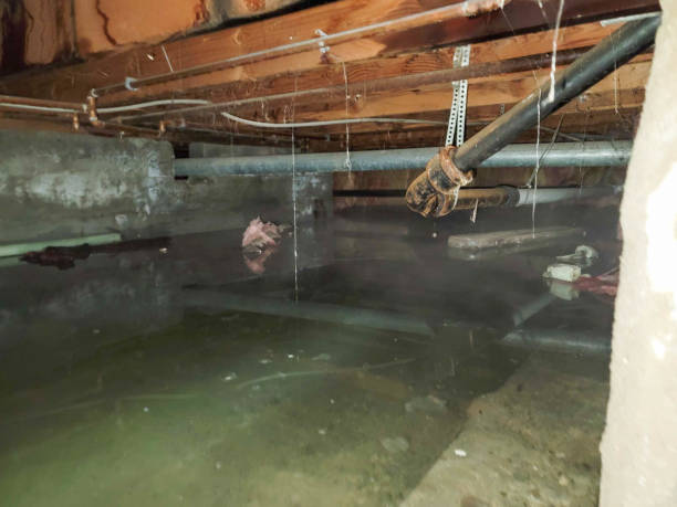 Best Residential water damage restoration  in Shorewood Forest, IN