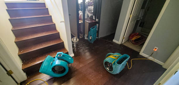 Best Ceiling water damage repair  in Shorewood Forest, IN