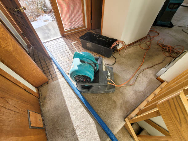 Best 24/7 water damage repair  in Shorewood Forest, IN