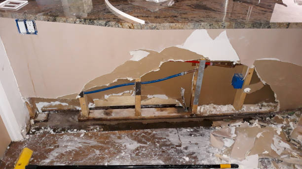 Best Water damage cleanup near me  in Shorewood Forest, IN