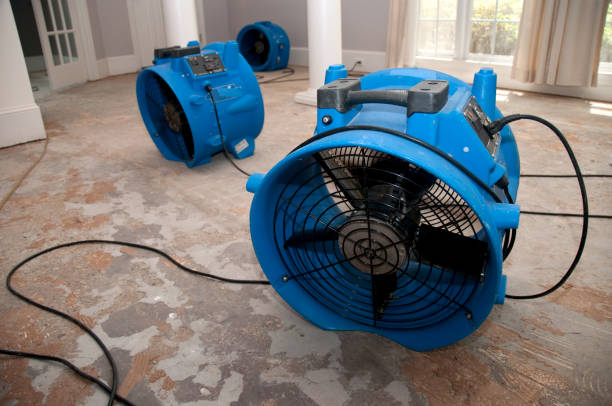 Best Flood damage cleanup  in Shorewood Forest, IN