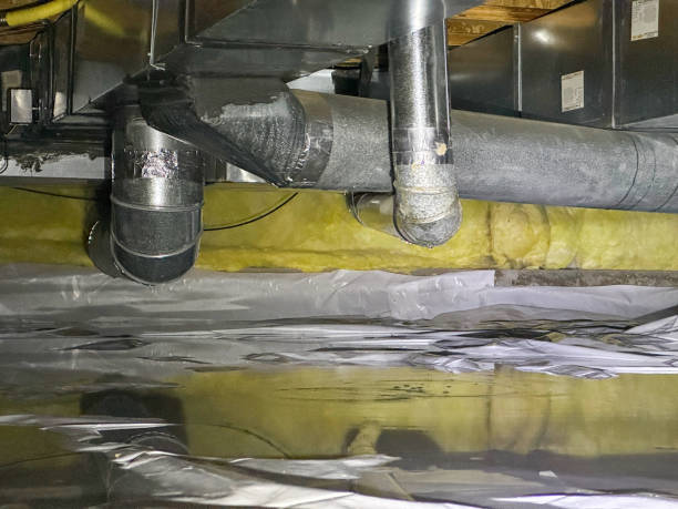 Best Water damage restoration services  in Shorewood Forest, IN