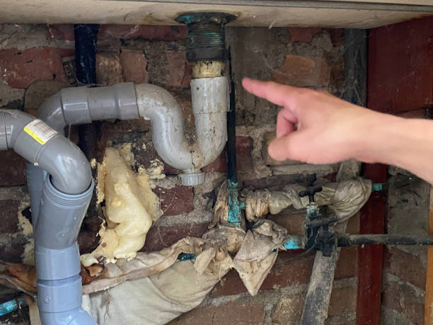 Best 24-hour water damage restoration  in Shorewood Forest, IN