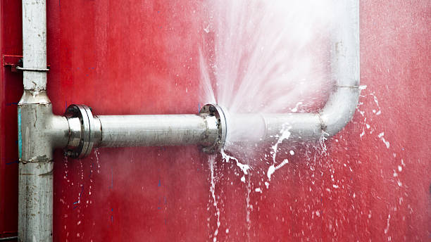 Best Flood restoration services  in Shorewood Forest, IN