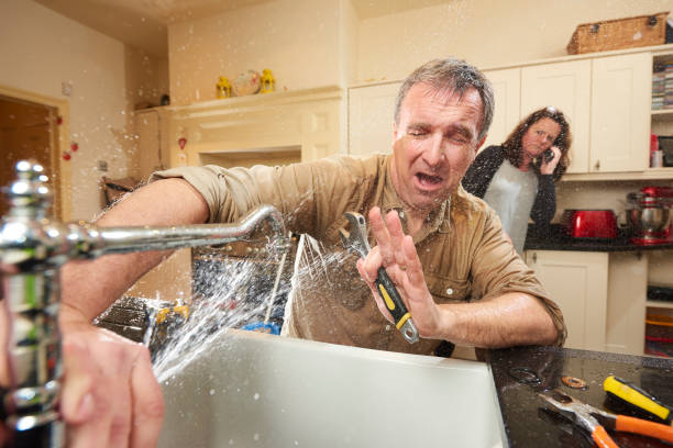 Best Water damage cleanup near me  in Shorewood Forest, IN